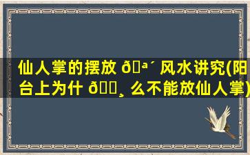 仙人掌的摆放 🪴 风水讲究(阳台上为什 🌸 么不能放仙人掌)